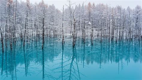 #4557803 landscape, snow, cabin, stones, forest, lake, nature, winter ...