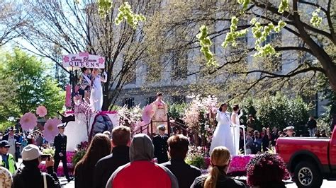 Photos: 2017 National Cherry Blossom Festival Parade | WTOP