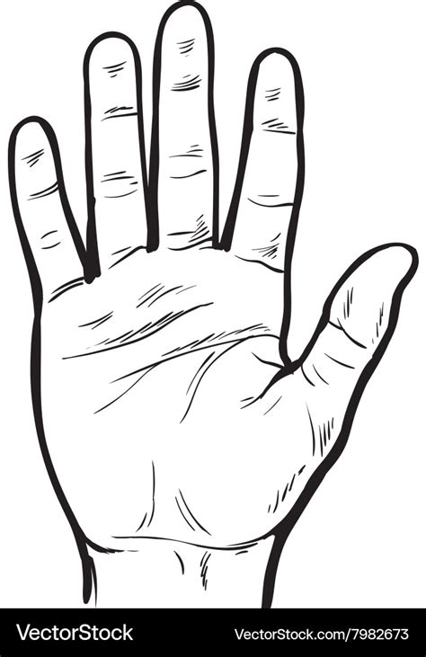 Hand Palm Vector Free Download