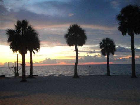 Pine Island, Florida | Pine island, Beach scenes, Beautiful places