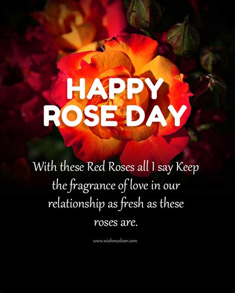 Rose day quotes, pic, video, wishes, images