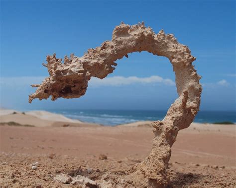 Lightning strikes create stunning sand sculptures in seconds through rare ‘extreme heat’ phenomenon