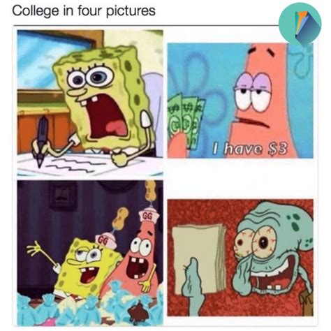 college | Funny spongebob memes, Spongebob memes, College memes