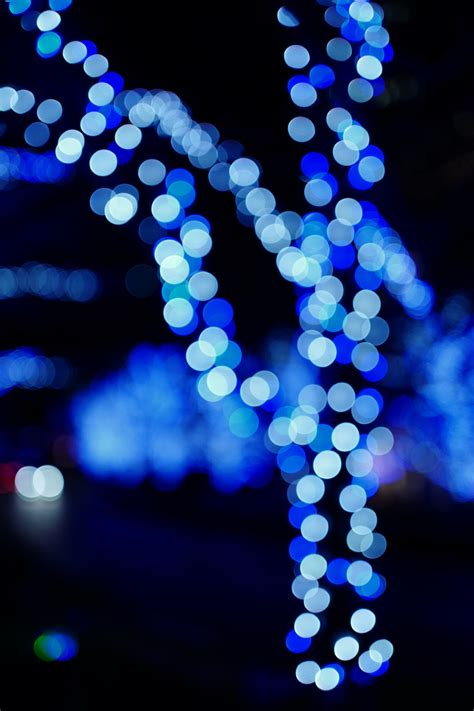Wallpaper : Japan, night, reflection, purple, blue, circle, christmas lights, Leica, Tokyo, Jp ...