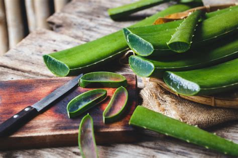 This Aloe Vera Scalp Treatment Soothes Summer Hair Woes