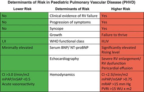 Treatment of children with pulmonary hypertension. Expert consensus ...