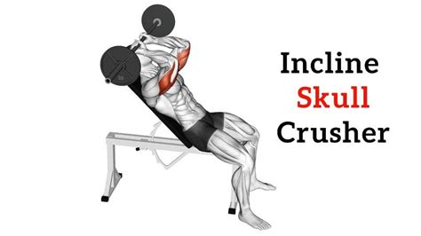 Incline Skull Crushers: How To Do, Muscle Worked & Technique