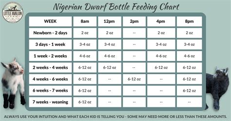 Nigerian Dwarf Bottle Feeding Schedule – The Holistic Goat