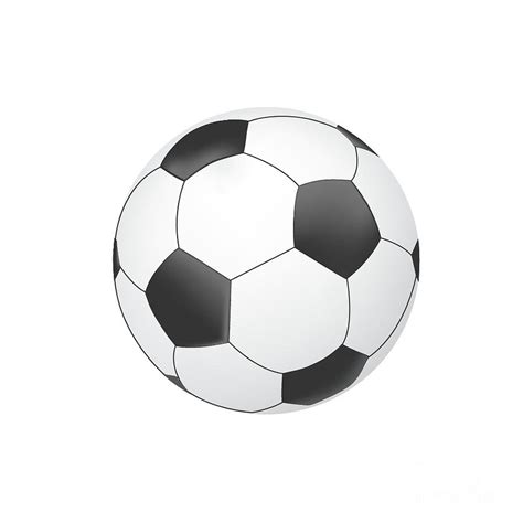 Vector soccer ball isolated on white background Digital Art by Yanin Kongurai