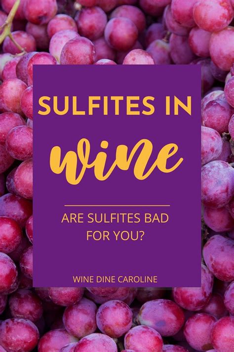 Sulfites in Wine: Are Sulfites Bad for You? | Wine recipes, Sulfites in wine, Wine food pairing