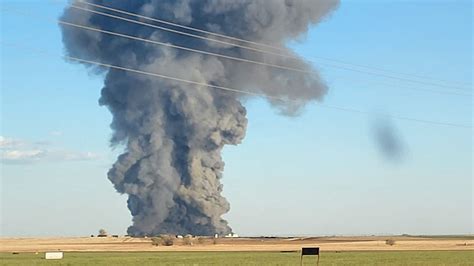 More than 18,000 cows die in Texas dairy farm explosion | US News | Sky News