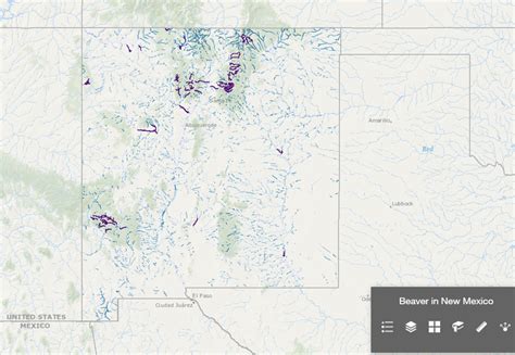 Beaver Habitat Mapper | Center for Conservation Innovation