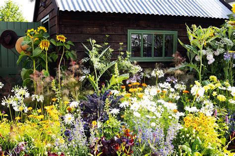 Cottage garden plants – the top flowers and shrubs to grow | Homes ...