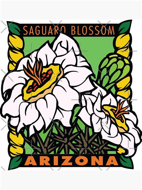 "Arizona State flower Saguaro Blosom" Poster by CosteO | Redbubble