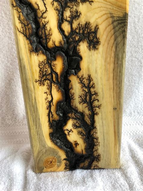 LAUREL Fractal burn fractal art high voltage wood burn | Etsy