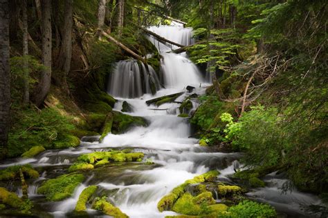 Five Beautiful Waterfalls in the Pacific Northwest | Beautiful waterfalls, Waterfall, United ...