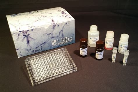 Rat Anti-Streptolysin O Antibody (IgG) Qual ELISA Kit | Indirect | LSBio