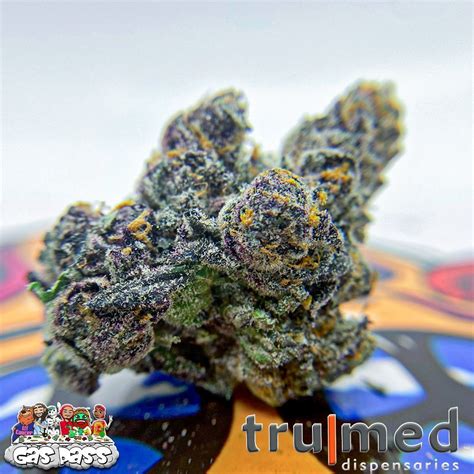 Space Runtz (by: Tru|Med) - Hippy Life Entertainment