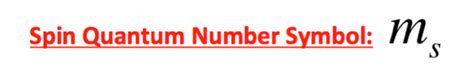 Spin Quantum Number: Definition & Example - Video & Lesson Transcript | Study.com