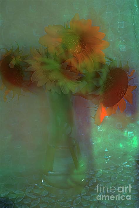 Rainbow Sunflowers. Photograph by Alexander Vinogradov - Fine Art America