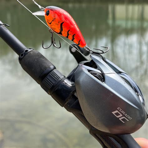 Shimano Curado DC Review