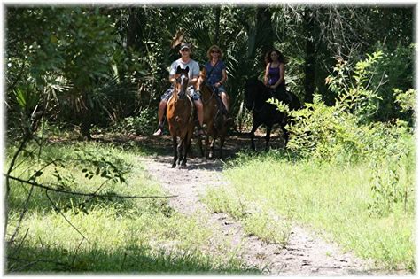 Trail Riding in Florida – Fun to do! - Sun City Stables