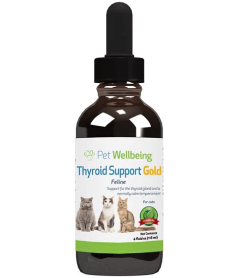 Thyroid Support Gold - for Cat Thyroid (Hyperthyroid) | Thyroid support, Feline hyperthyroidism ...