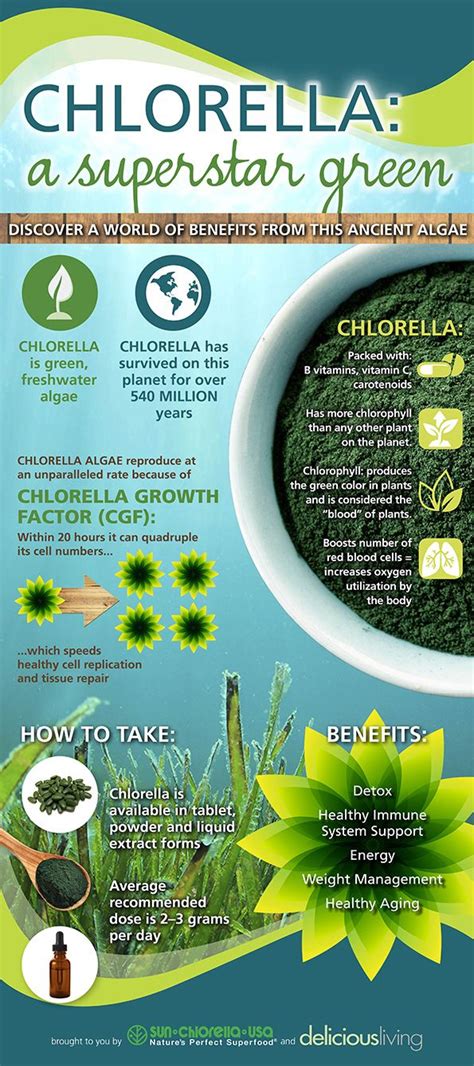 [Infographic] The benefits of chlorella | Coconut health benefits, Health and nutrition, Lemon ...