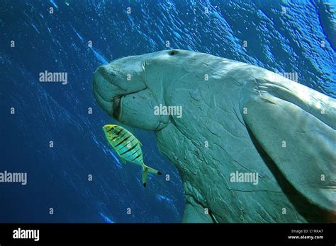 Doejong hi-res stock photography and images - Alamy