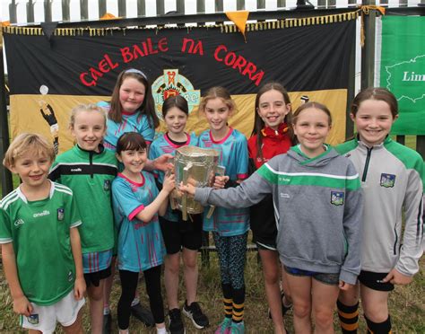 In Pictures: Epic open day at Limerick GAA club to celebrate wonderful year - Page 1 of 14 ...