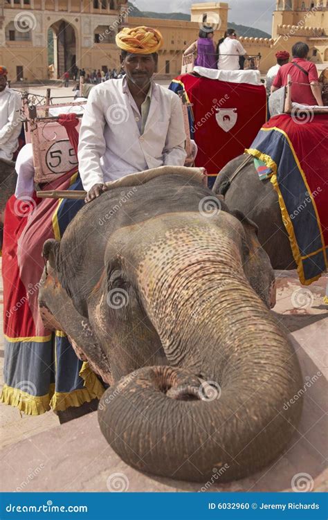 Mahout and Elephant editorial image. Image of fort, rajasthan - 6032960