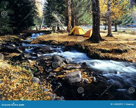 Camping in the Autumn Forest Stock Image - Image of family, backpacking ...