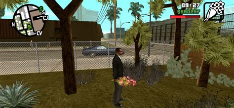 Flowers - GTA: San Andreas Guide - IGN