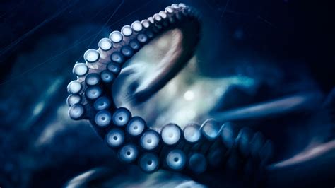 HD Octopus Wallpaper - WallpaperSafari