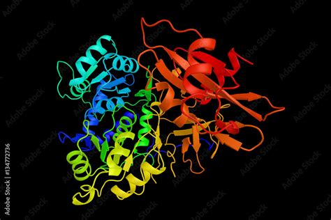 Luciferase (3d structure), oxidative enzyme that produces biolum Stock ...