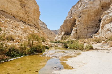 Pasture Living: Travel: Israel (Shephelah, Negev Desert, Judah ...