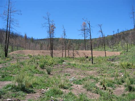 Debris Basin — After Wildfire