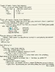 Untitled Notebook 4.pdf - Examples of transfer Avoiding illegal phonotactics Arabic no consonant ...