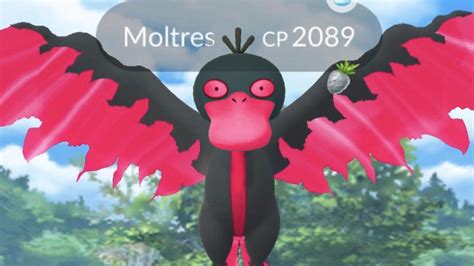 Pokemon Go trainer creates terrifying Galarian Moltres they saw in a nightmare - Dexerto