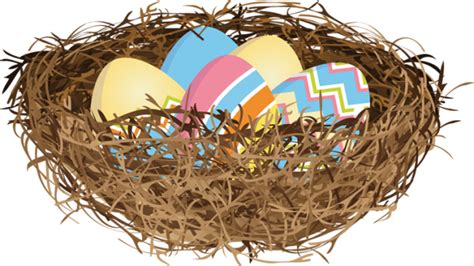 Nest PNG Clipart | PNG All