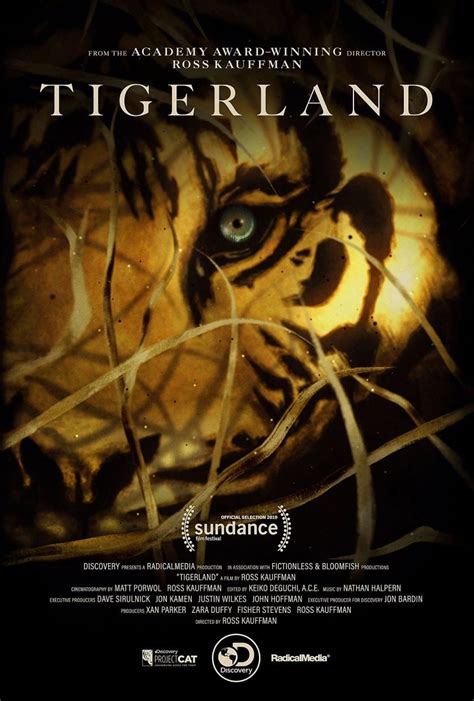 Tigerland (2019) - Posters — The Movie Database (TMDB)