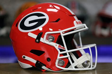 Georgia Bulldogs Riddell SpeedFlex Authentic Helmet – Green Gridiron, Inc.