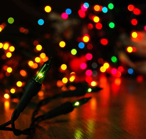 Halloween Gallery Photo: Christmas Lights