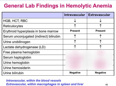 general lab findings in hemolytic anemia Diagram | Quizlet