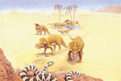 Interesting Facts About Protoceratops