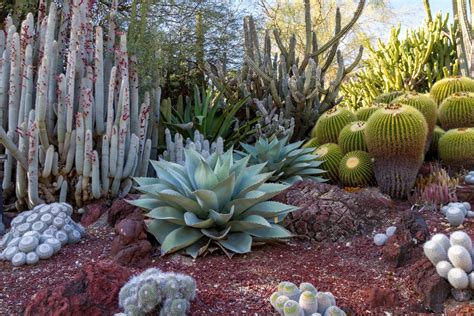 Desert Garden Ideas – Tips For Southwest Landscaping And Outdoor Design ...