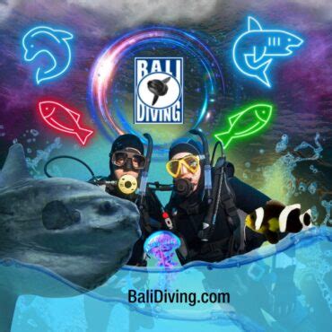 Best Month Scuba Diving in Bali - Bali Diving Blog