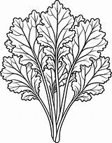Coloring Page For Kids  Mustard Greens Black And White Line Art sketch template