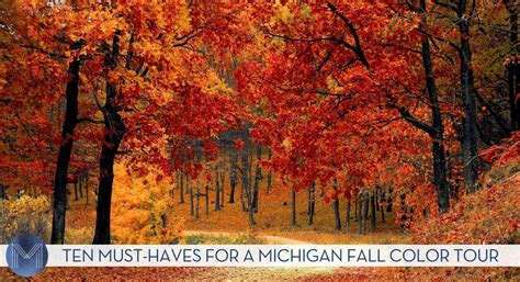 Ten Must-Haves for a Michigan Fall Color Tour