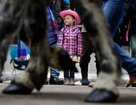 Photos: National Western Stock Show Parade 2023 in downtown Denver